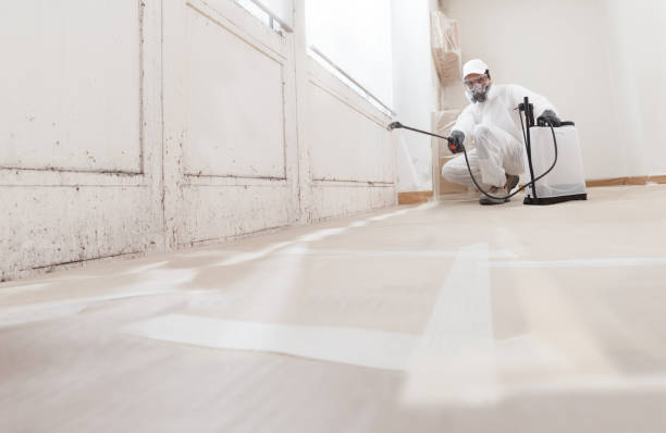 24/7 Emergency Attic Mold Removal experts in White Hall, IL