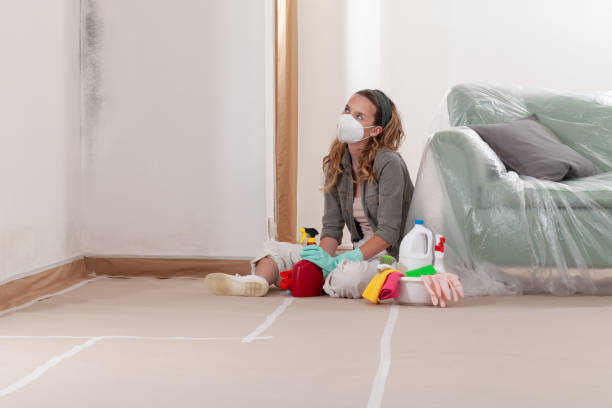 Reliable Attic Mold Removal contractor in White Hall, IL by WQB Mold Removal